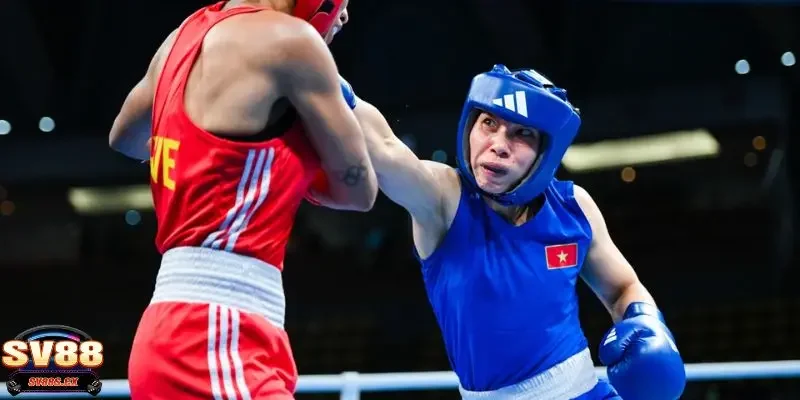 cá cược boxing Cá cược Boxing là gì?