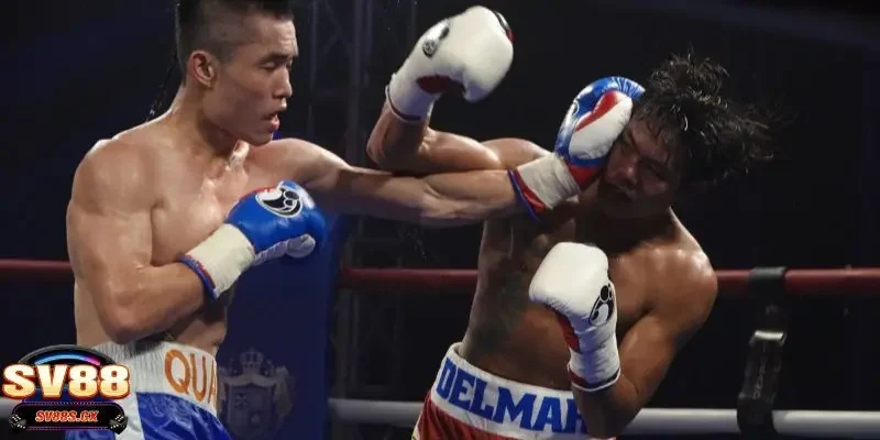 cá cược boxing Luật chơi cá cược boxing với những quy tắc quan trọng