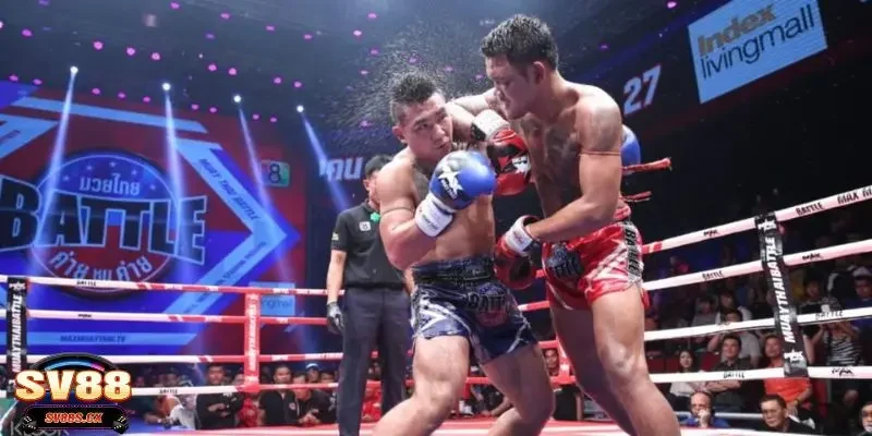 cá cược boxing Bật mí kinh nghiệm cá cược Boxing để chiến thắng nhanh chóng